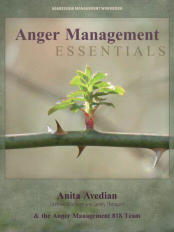 Anger Management Adult Book